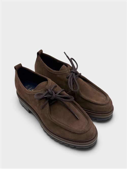  IL LACCIO | AO6116CAMOSCIOACAJOU